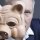 Kollegenschweine: Die 11 unbeliebtesten Typen im Büro